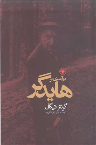 در آمدي بر هايدگر