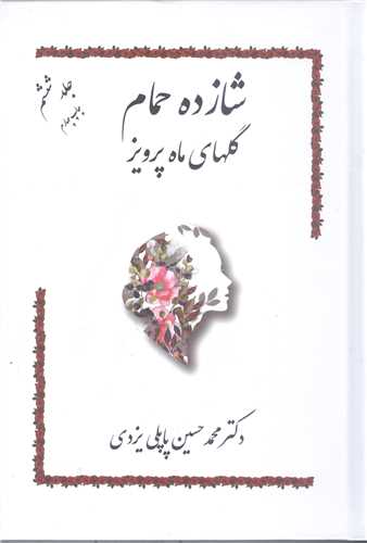 شازده حمام - ج 6