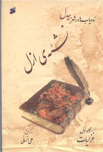 گزيده اشعار بيدل 2 جلدي(نشسته دلشيشه در بغل)