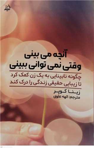 آنچه می بینی وقتی نمی توانی ببینی