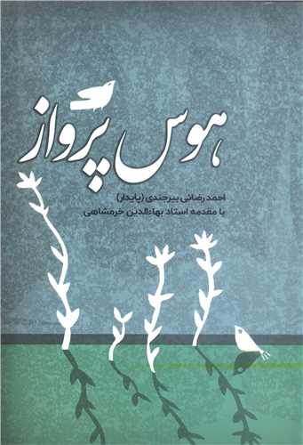 هوس پرواز