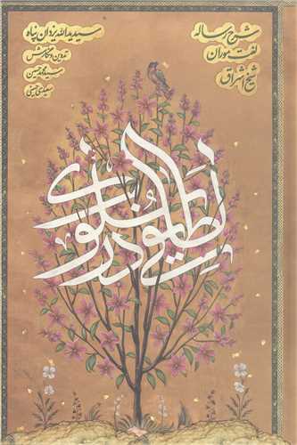 لطايفي در سلوک